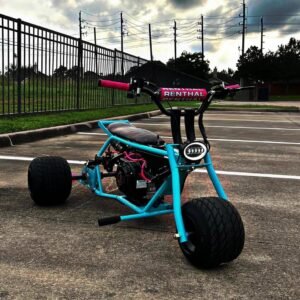 tiffany blue trike.jpeg