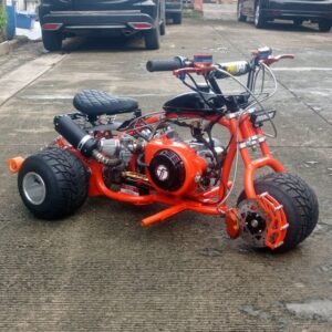Mini-Trike (Platinum Edition) Lead Time Applies